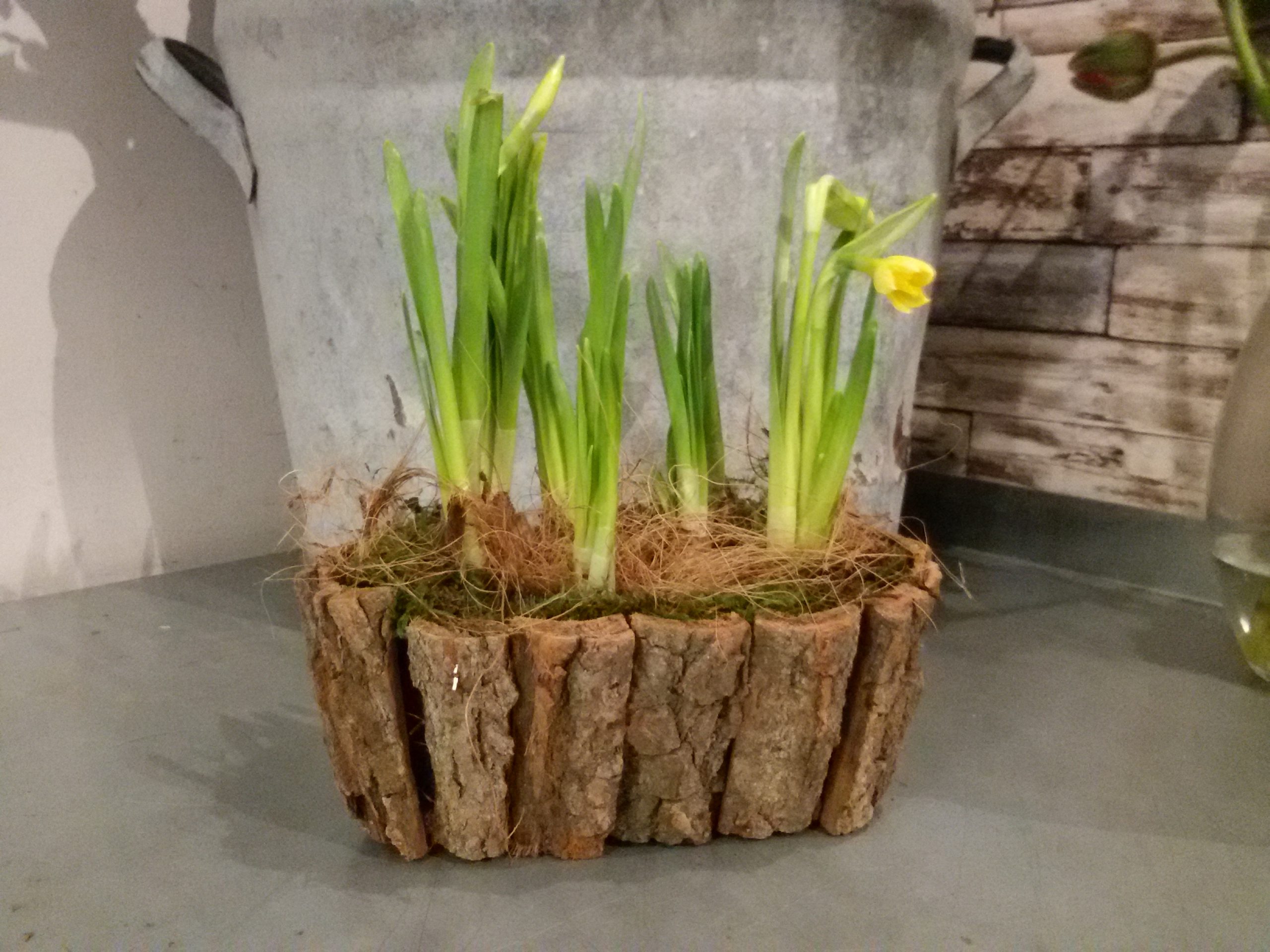 We zeggen het met …. (voorjaars)bloemen!